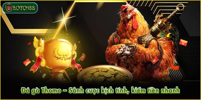 Đá gà Thomo - Sảnh cược kịch tính, kiếm tiền nhanh
