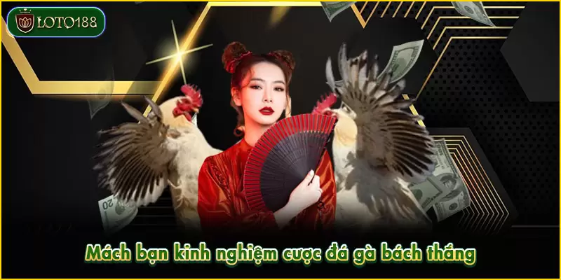Học hỏi kinh nghiệm từ cao thủ giúp dự đoán chuẩn xác