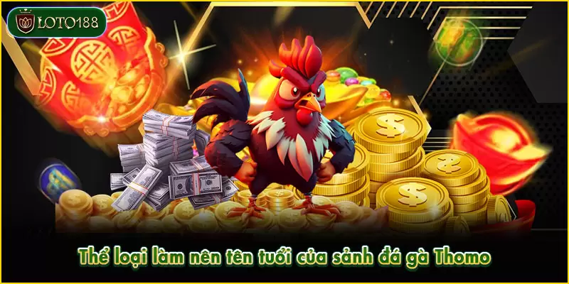 Thể loại làm nên tên tuổi của sảnh đá gà Thomo