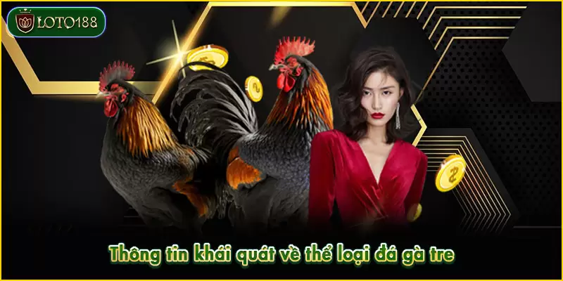 Đá gà tre mang đến trải nghiệm mới mẻ cho các thành viên