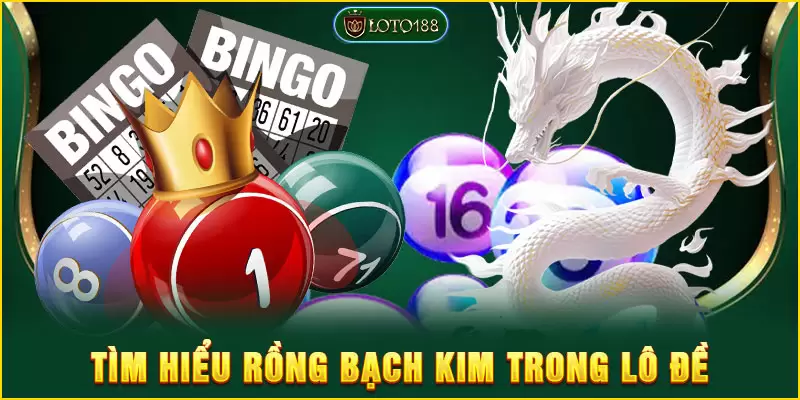 Rồng bạch kim là gì