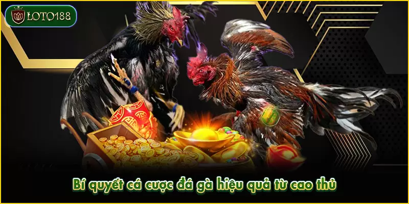 Trang bị mẹo chơi giúp nâng cao khả năng chiến thắng