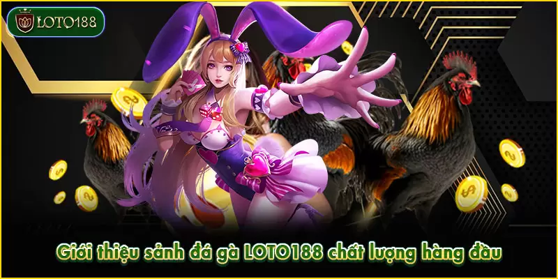 Sảnh đá gà LOTO188 mang đến trải nghiệm kịch tính