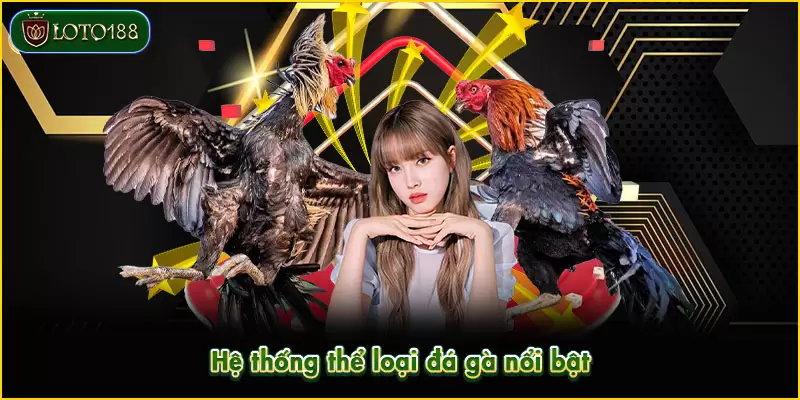 Thể loại đá gà trong sảnh cược vô cùng đa dạng