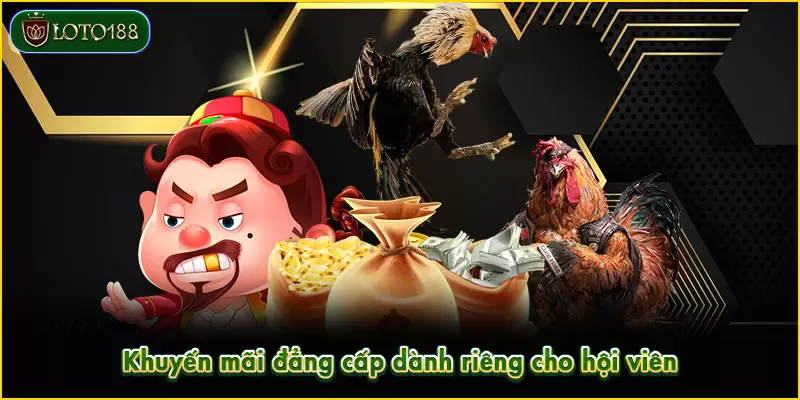 Khuyến mãi đẳng cấp dành riêng cho hội viên